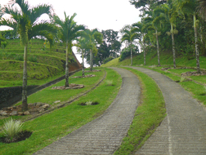 From the gate a landscaped concrete driveways curves to the hilltop lots.